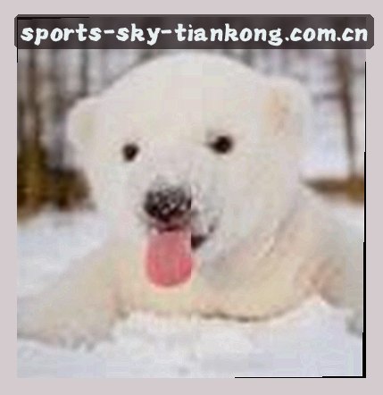 李伟